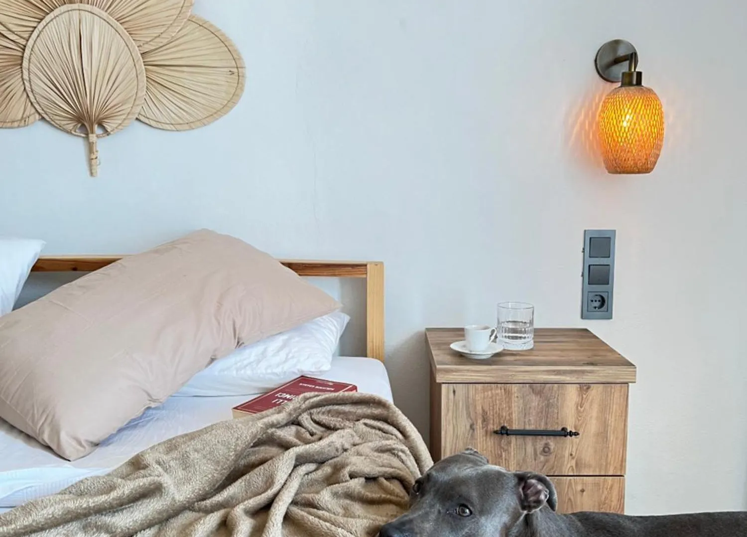 Aden Pet Apartment 페티예 아파트호텔